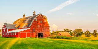 Dreaming of Living on a Farm